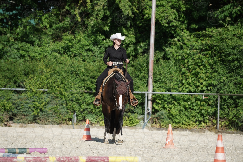 s_APF06936.jpg